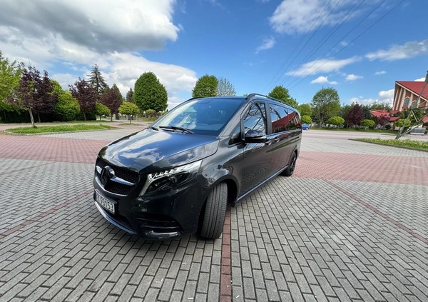 Mercedes-Benz Klasa V cena 457560 przebieg: 44716, rok produkcji 2023 z Prószków małe 667